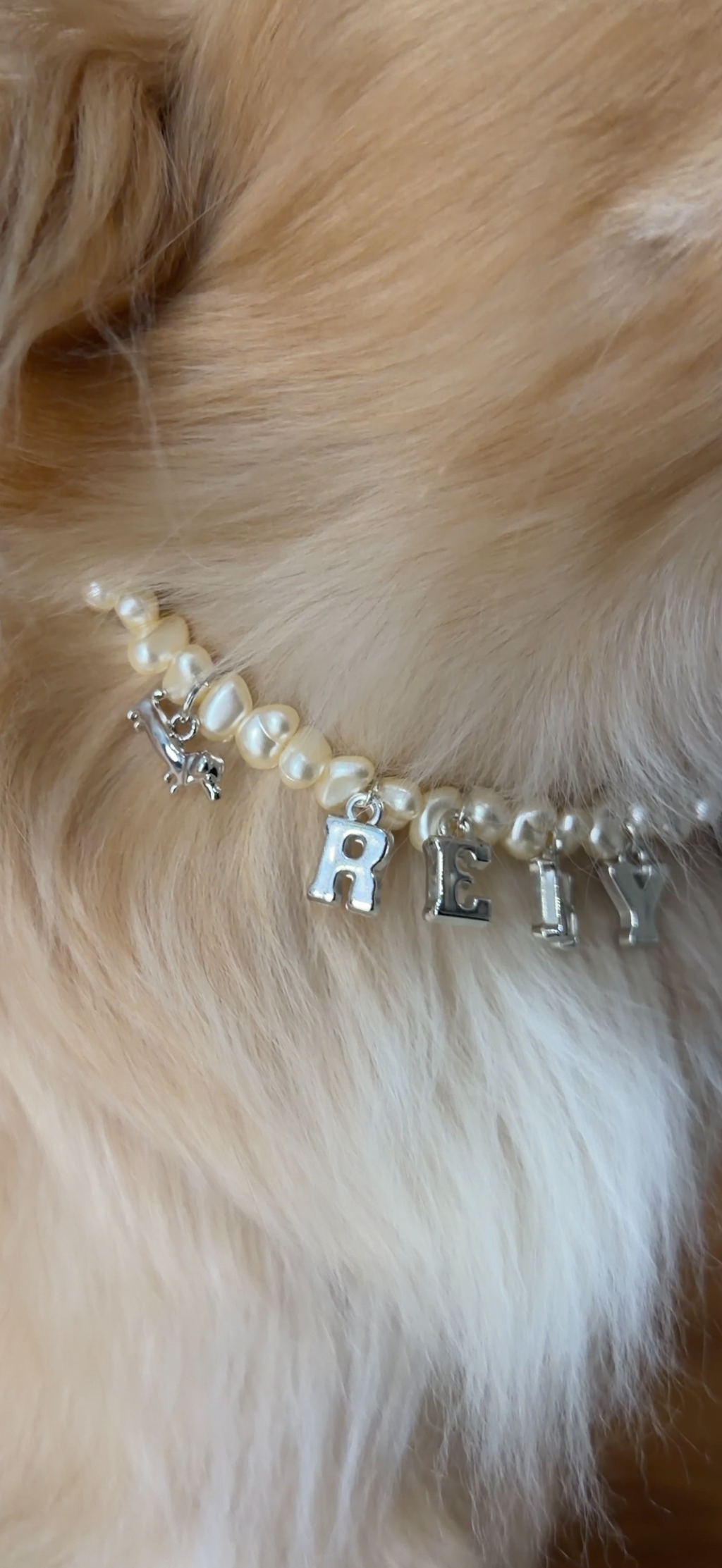 Doxie Collection- Pearl Necklace