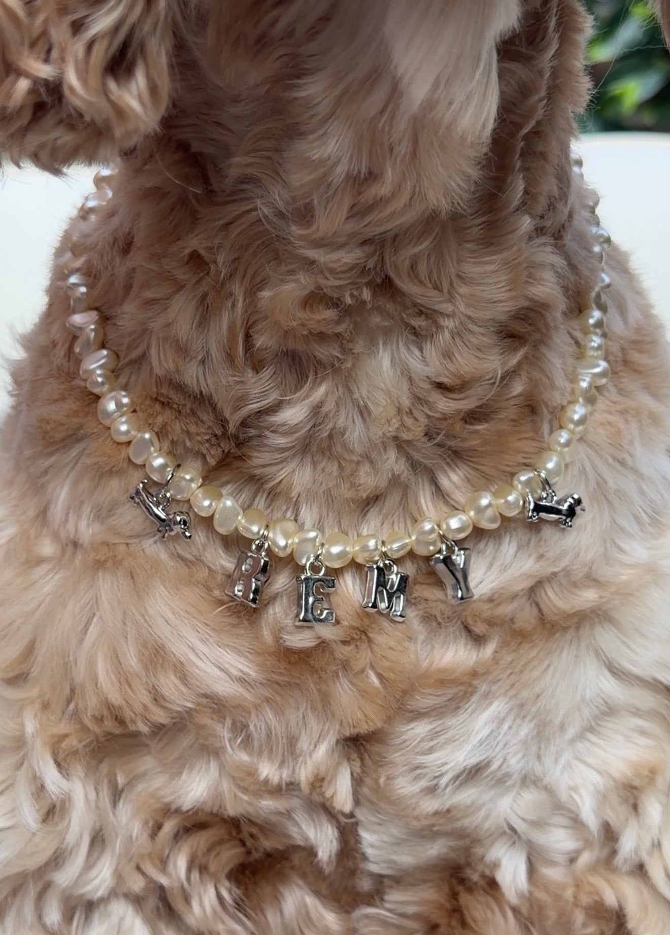 Doxie Collection- Pearl Necklace
