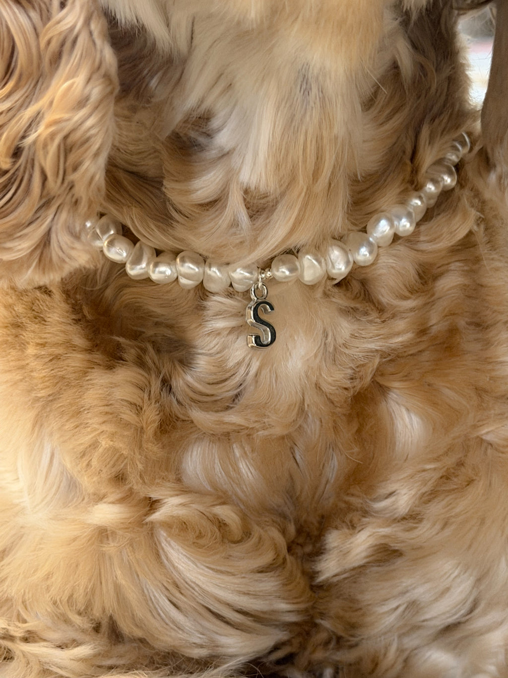 Pearl Initial Necklace