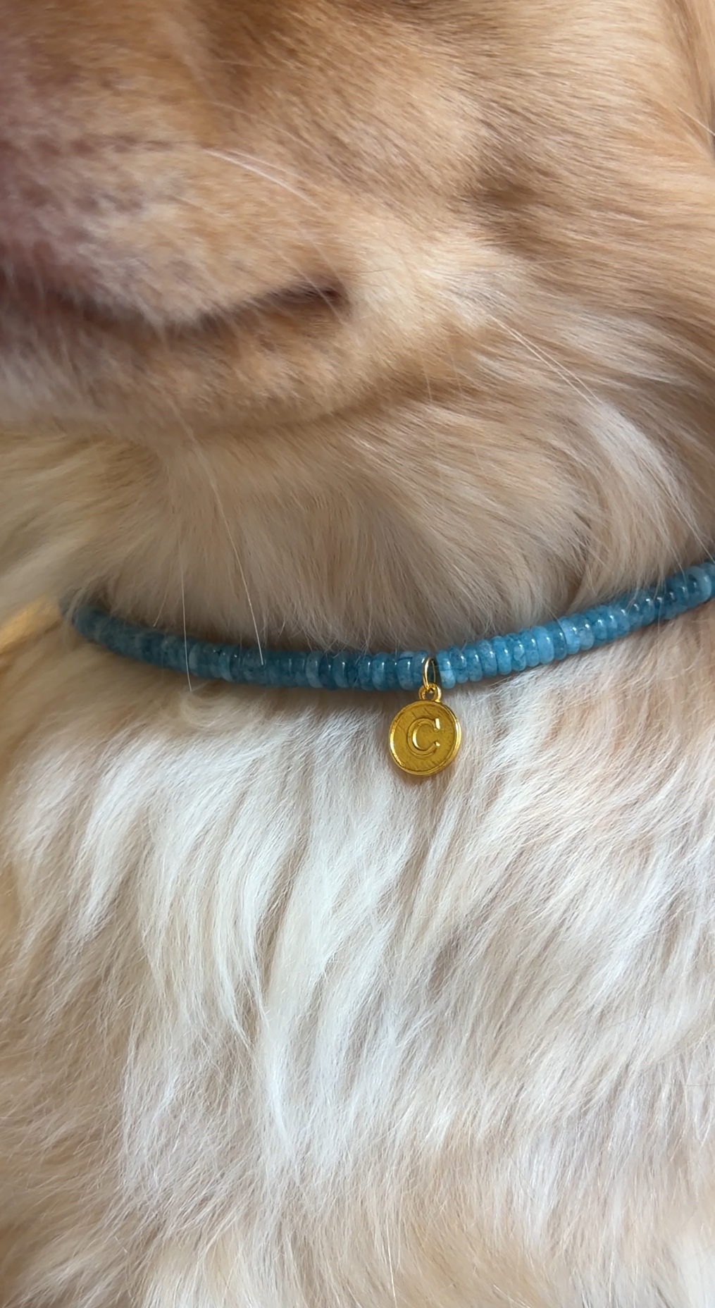 Favorite Boy Necklace