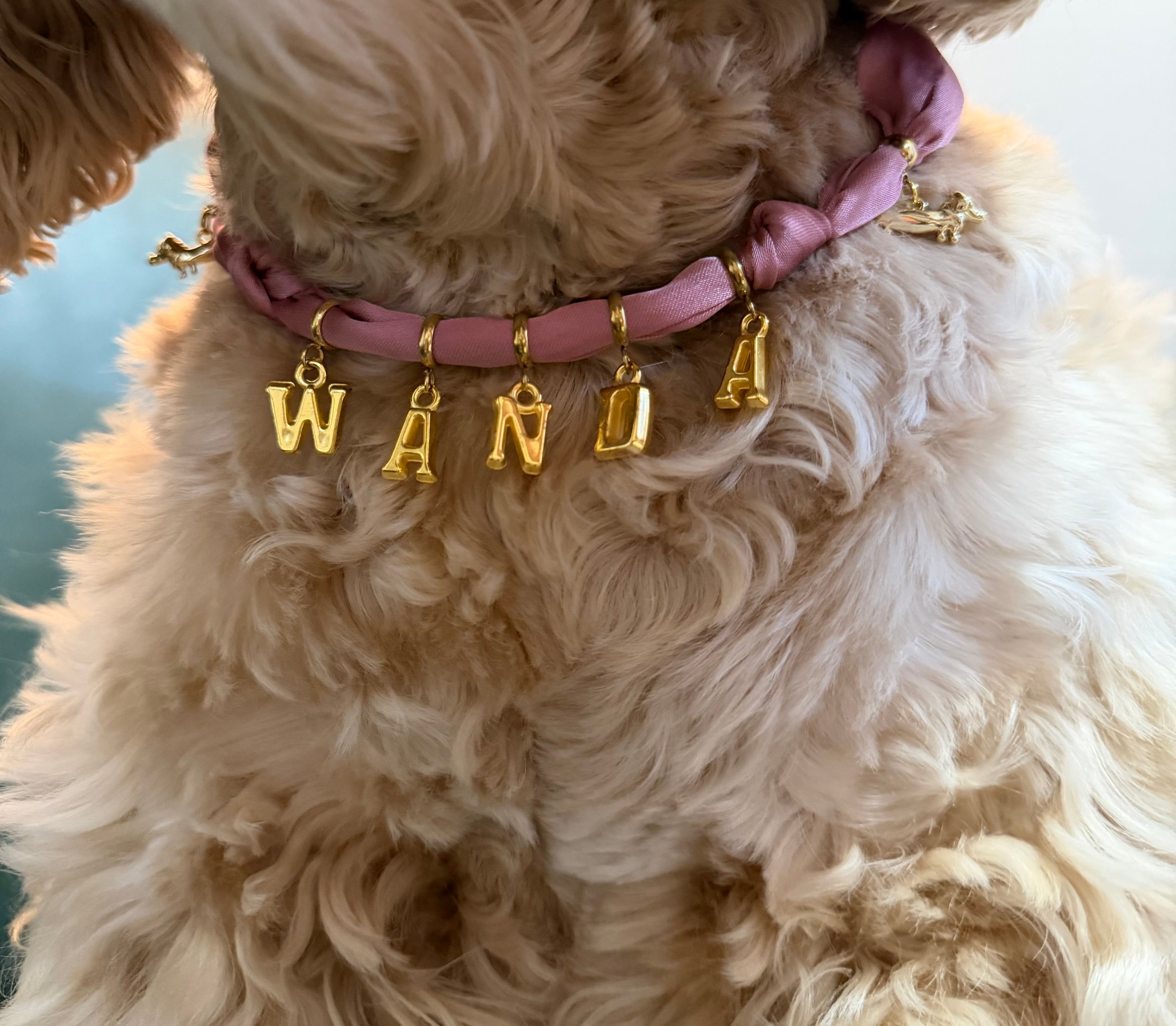 Doxie Collection- Scarf Necklace