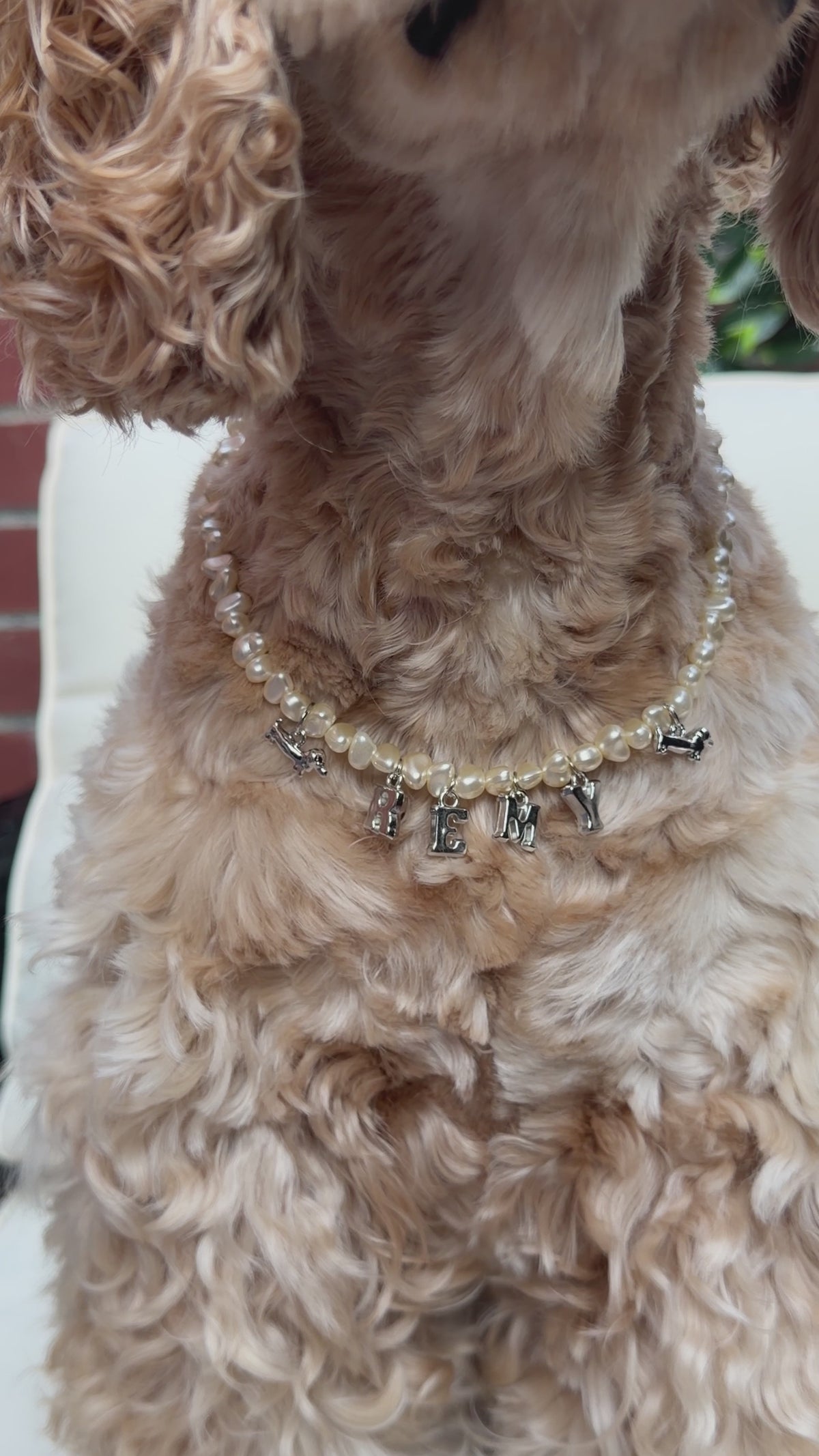 Doxie Collection- Pearl Necklace